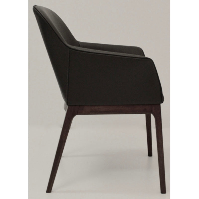 Ann Leather arm chair