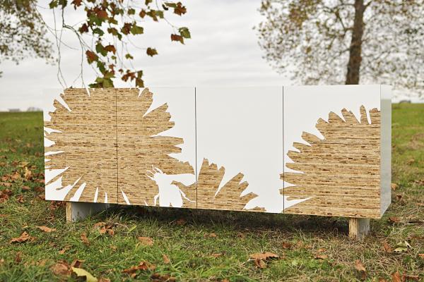 dandelion console long