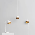 Pendant Light Fixture