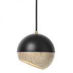 black ray pendant light