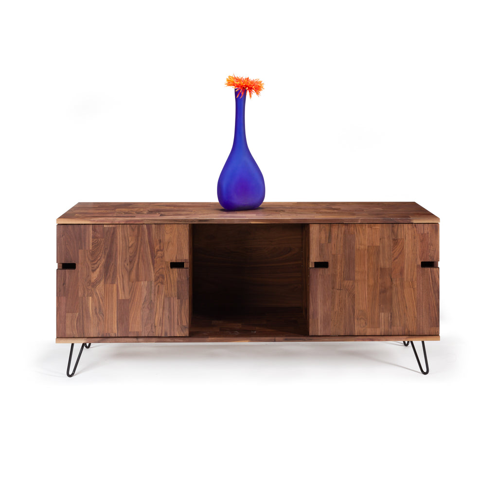 modern two door cabinet