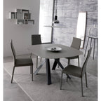 Modern Dining Chair