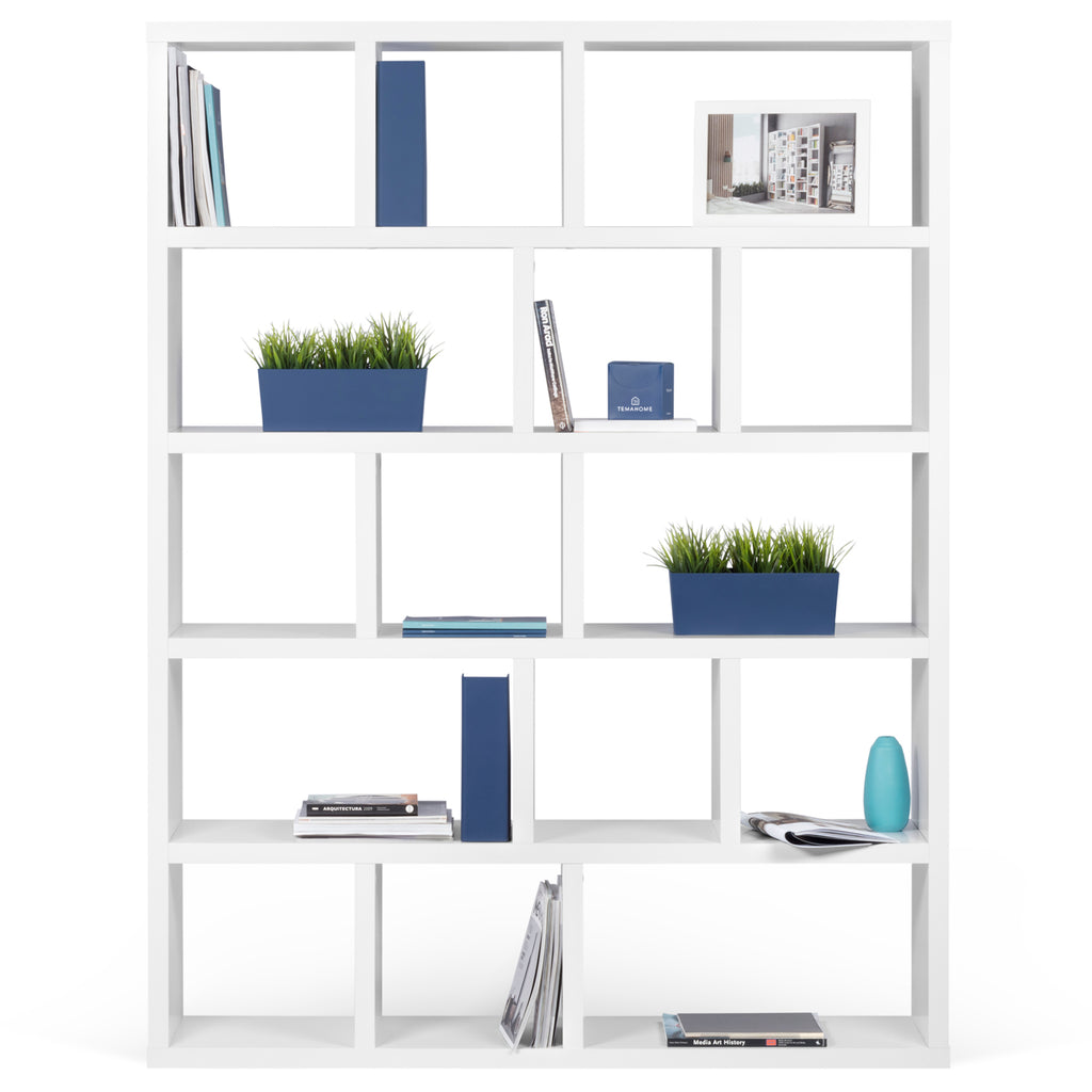 Berlin bookcase