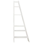 Delta shelf 001