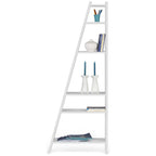 Delta shelf 001