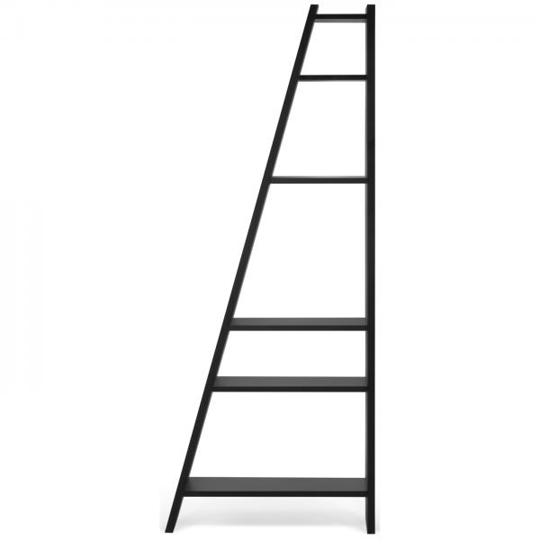 delta shelf 001