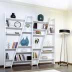 Delta shelf 005