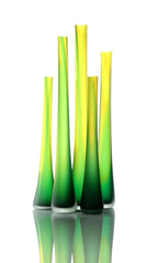 Blown Glass Vase
